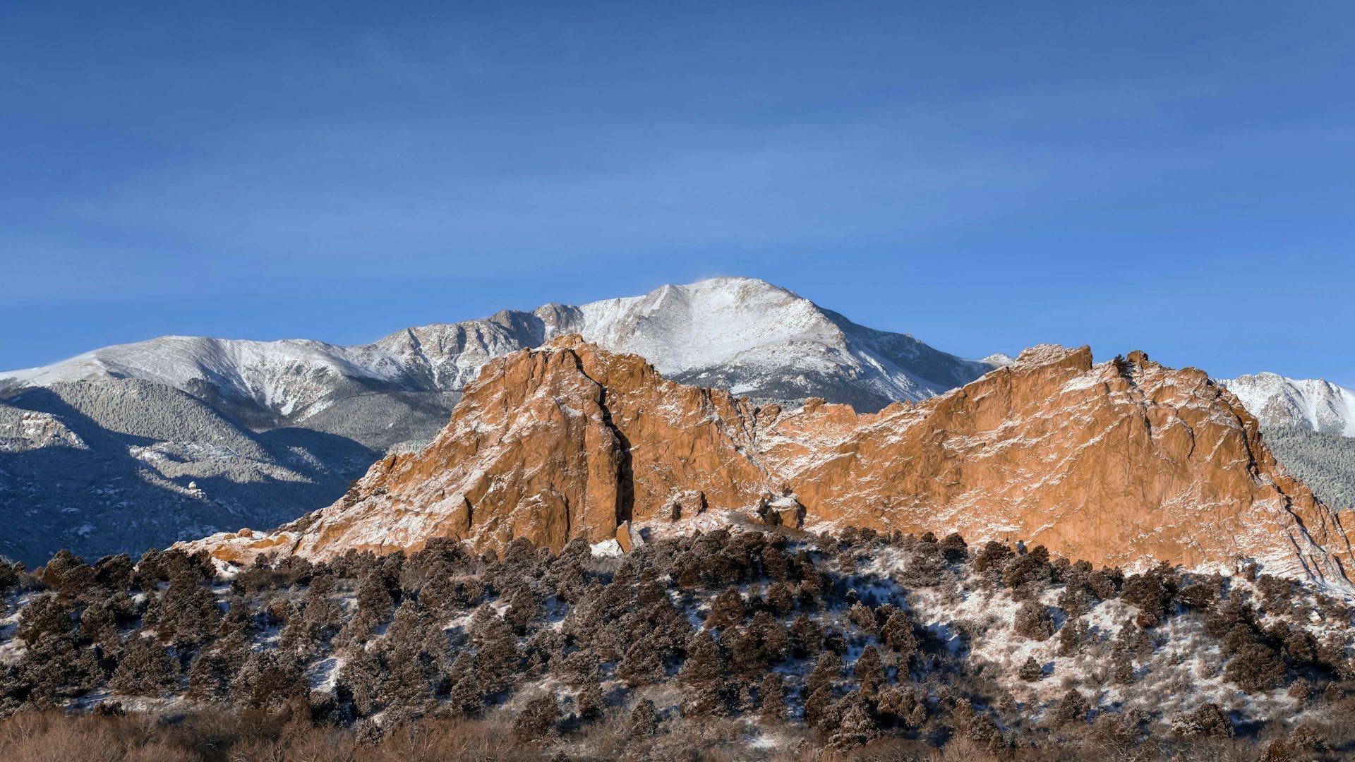 2025 Colorado Springs Real Estate Market Recap