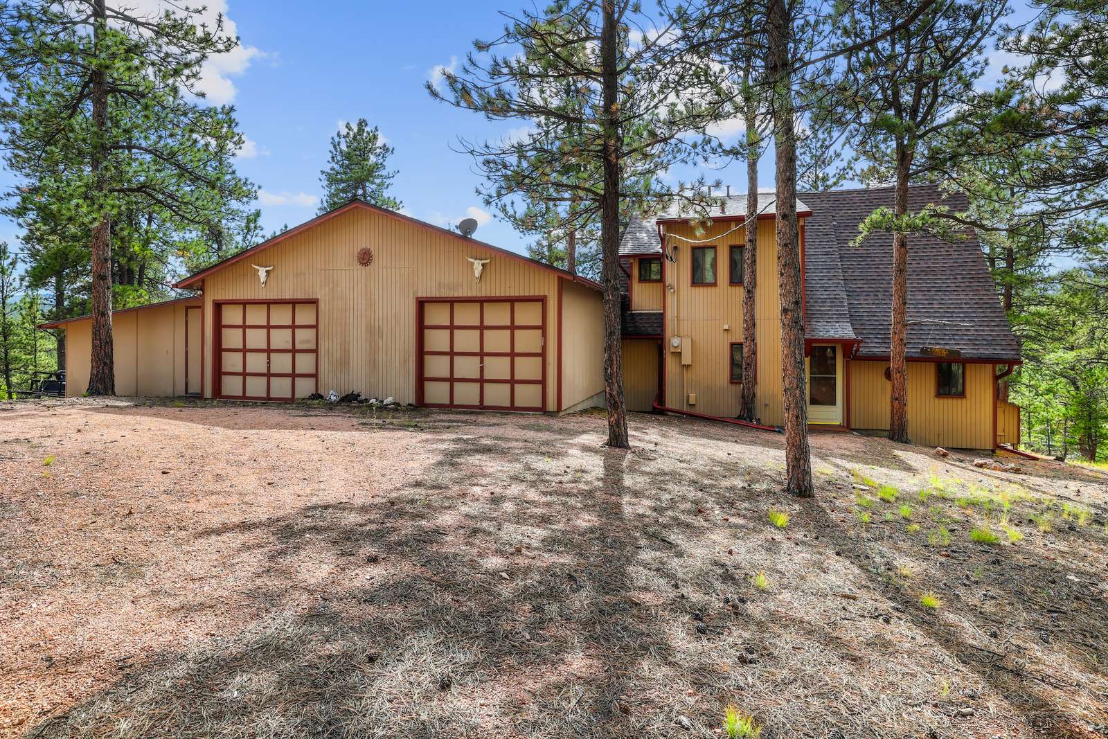 7 Roundup Lane, Florissant, CO 80816: photo 1 of 15