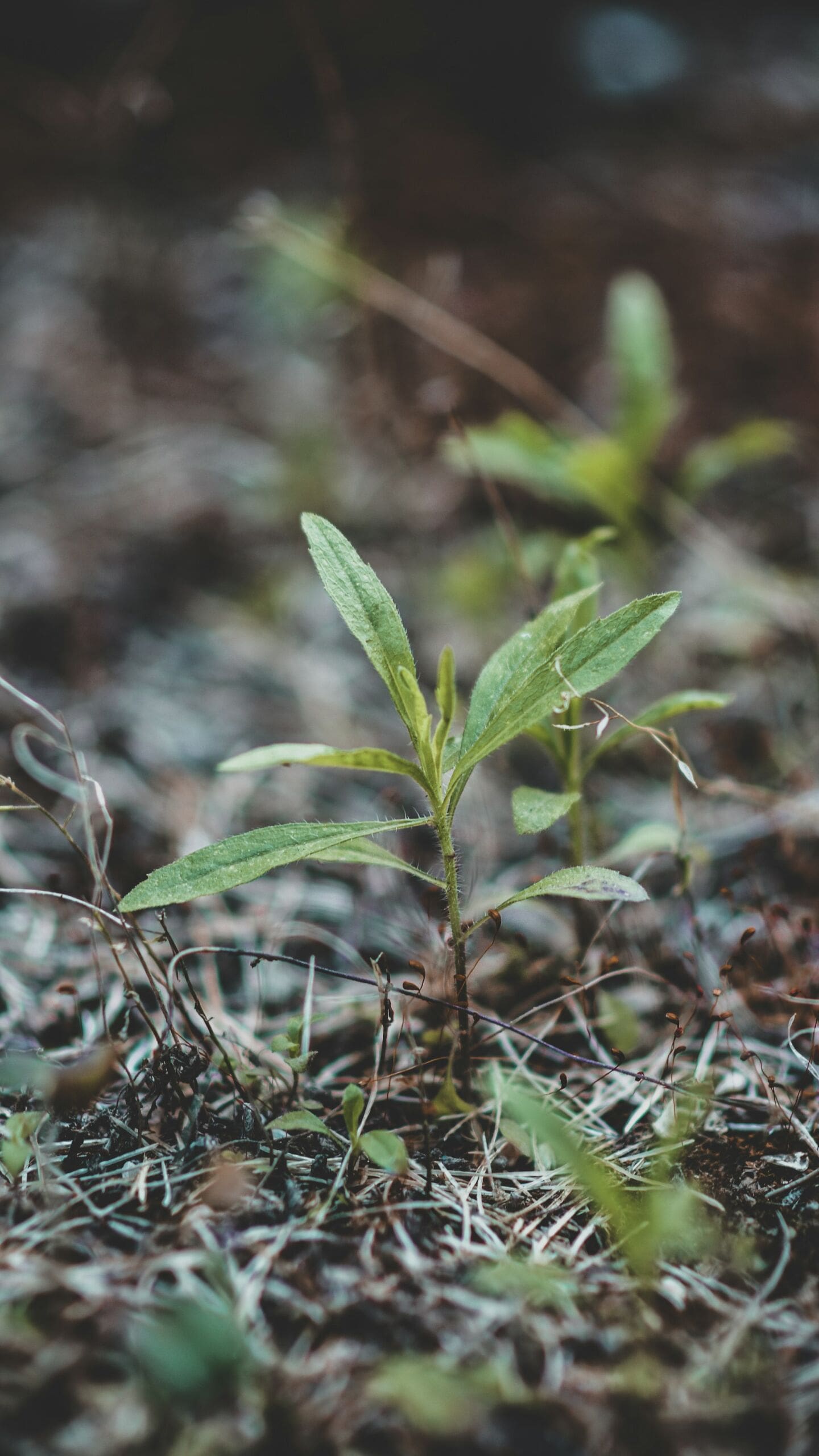 Supporting Environmental Education: The Catamount Institute