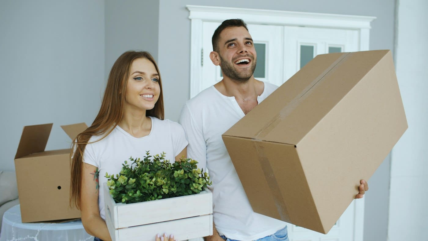 Moving boxes and plant